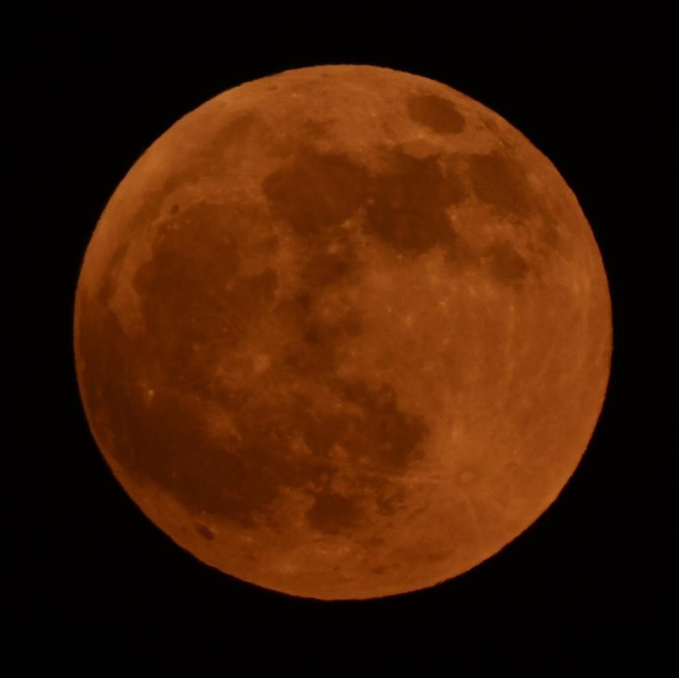 brown_pakora's tweet photo. #NewMoon in #Hyderabad on 3:2:26
 I think this is the biggest i have seen so far with my own eyes. Isn't the moon lovely? https://t.co/MjgUpwE34e