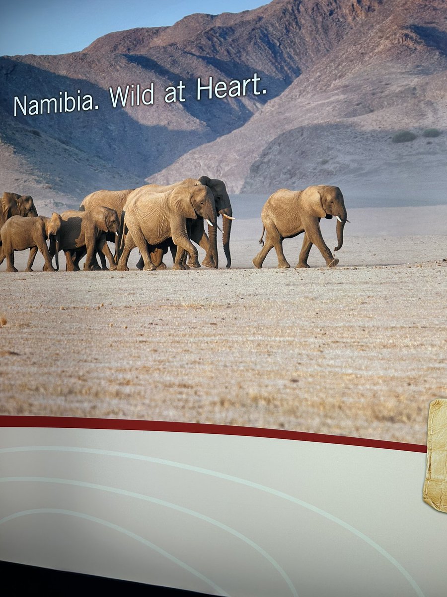 Invest_Namibia tweet media