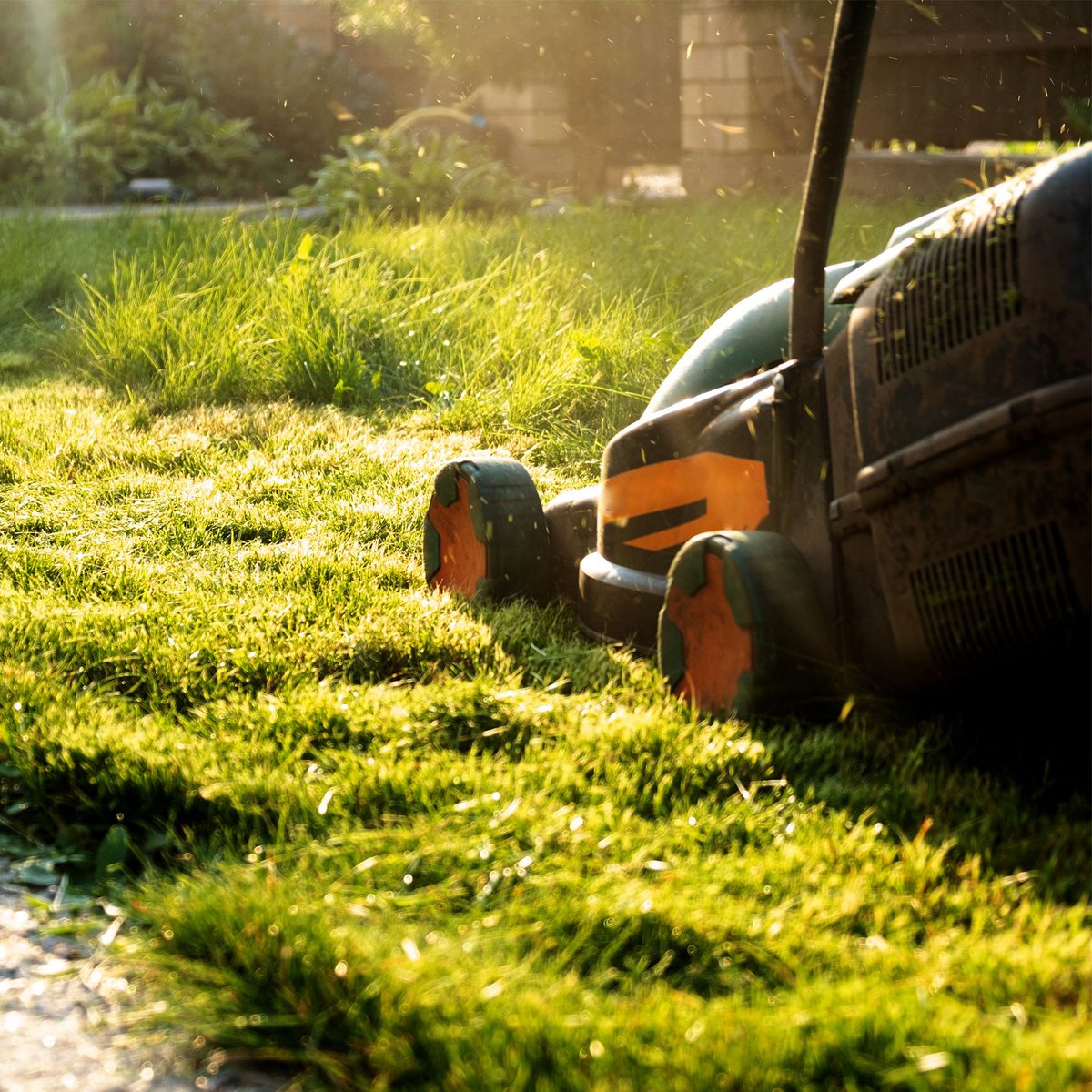 Back to the Office tweet media