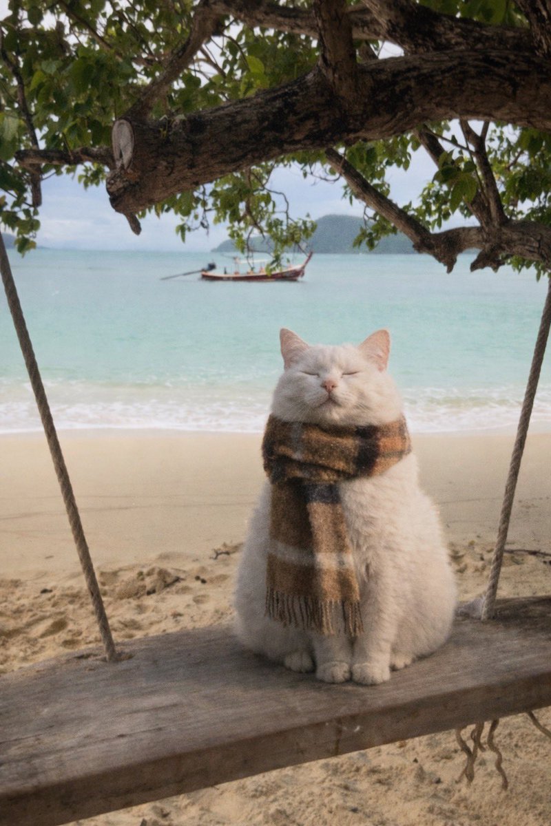 away from keyboard tweet media