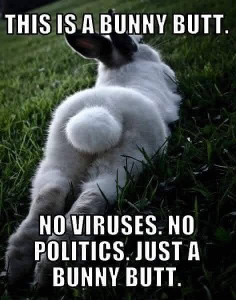 DontCallMeDebby's tweet photo. https://t.co/dVWVlK586M