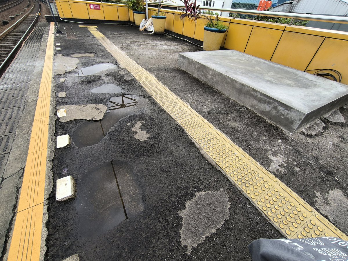 faradida tweet media