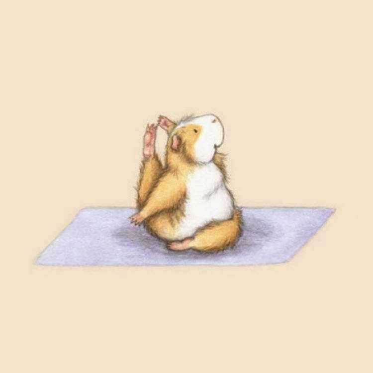 主页免费看高清无码 tweet media
