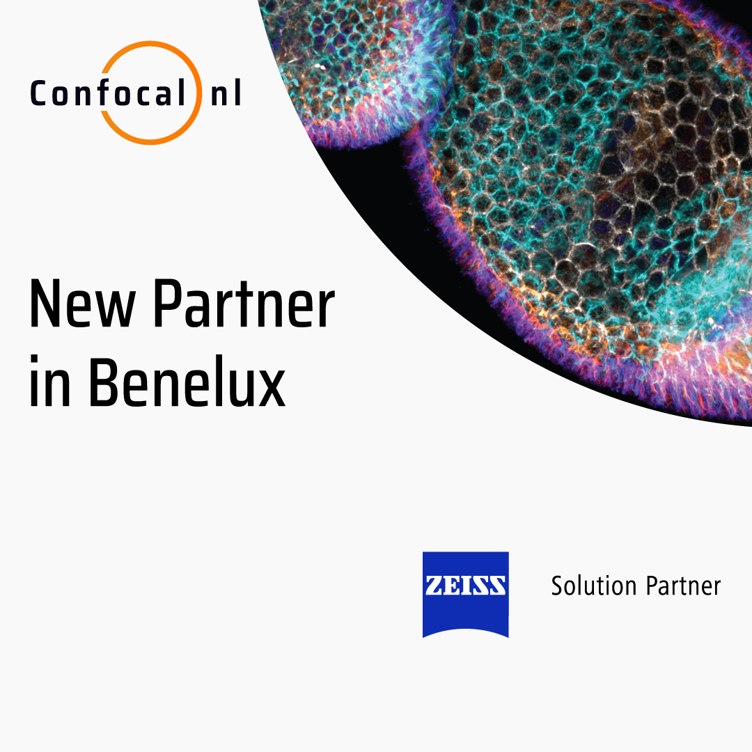 Confocal NL tweet media