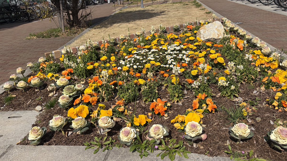 イズミヤショッピングセンター☀️【公式】 tweet media