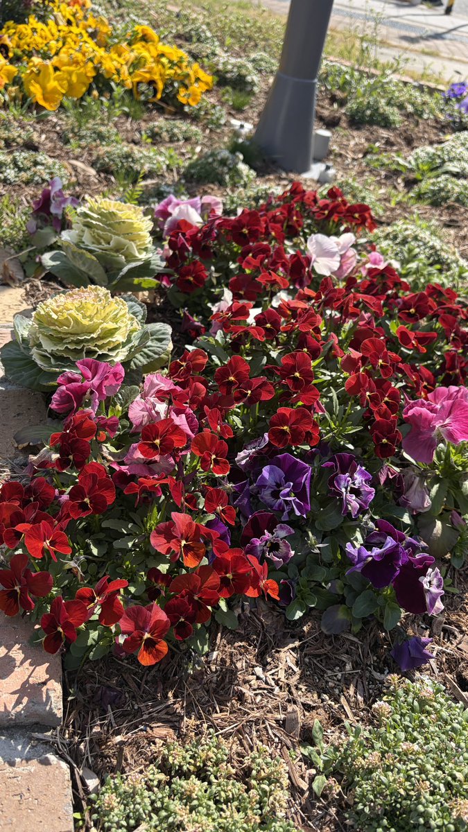 イズミヤショッピングセンター☀️【公式】 tweet media