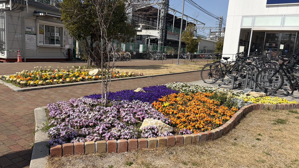 イズミヤショッピングセンター☀️【公式】 tweet media