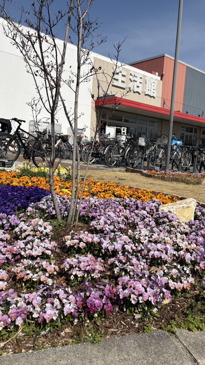 イズミヤショッピングセンター☀️【公式】 tweet media