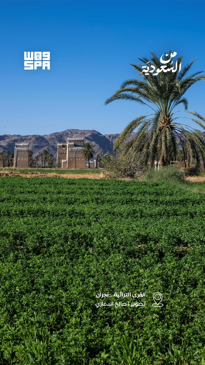 صورة من السعودية.

#واس