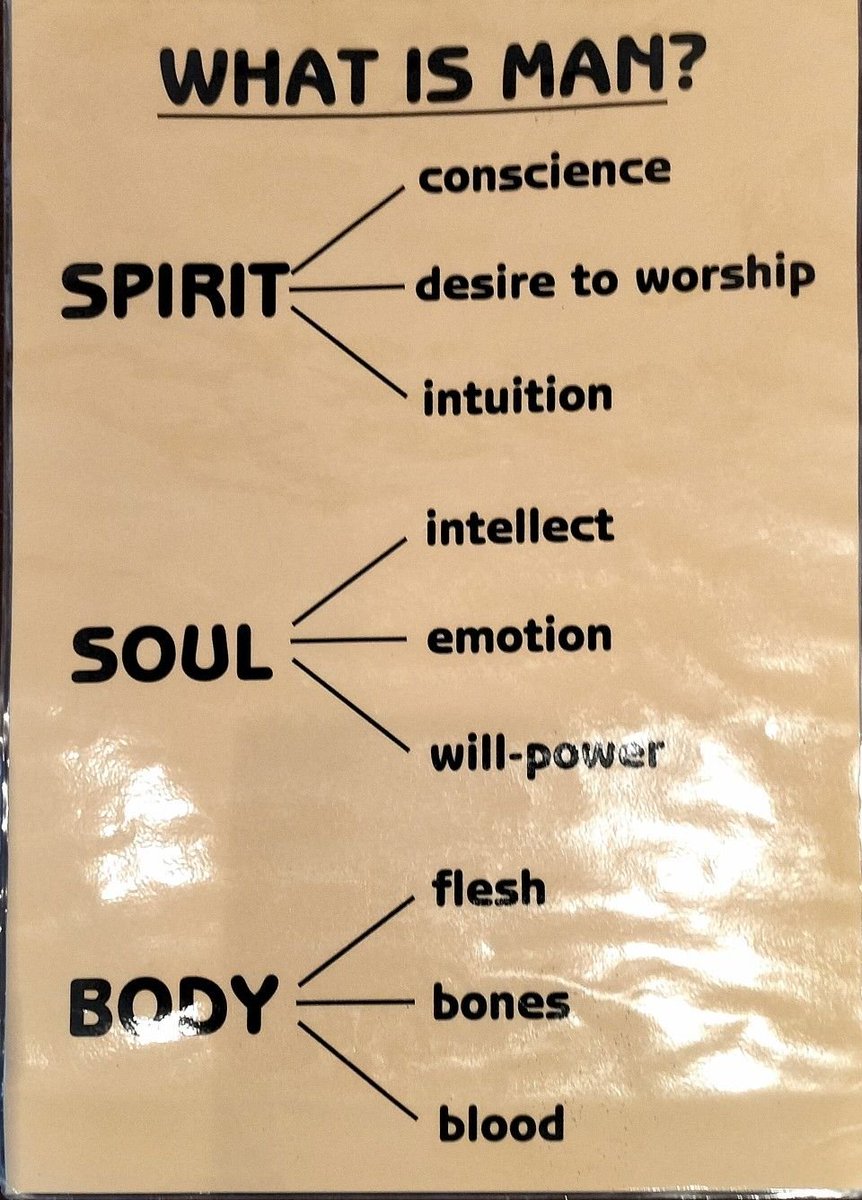 JulieParker144's tweet image. Philippians 4:8 Finally, brethren, whatsoever things are true, whatsoever things are honest, whatsoever things are just, whatsoever things are pure, whatsoever things are lovely... if there be any virtue, and if there be any praise, THINK on these things.  #THINK #mindofChrist