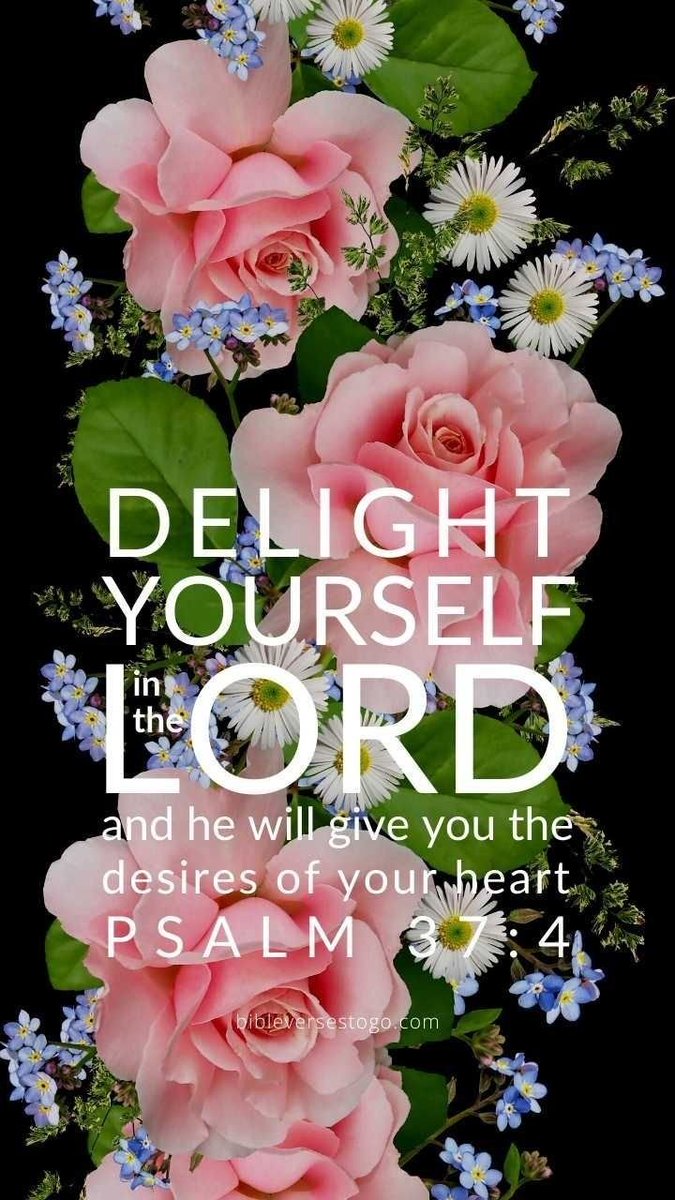 JulieParker144's tweet image. Philippians 4:8 Finally, brethren, whatsoever things are true, whatsoever things are honest, whatsoever things are just, whatsoever things are pure, whatsoever things are lovely... if there be any virtue, and if there be any praise, THINK on these things.  #THINK #mindofChrist
