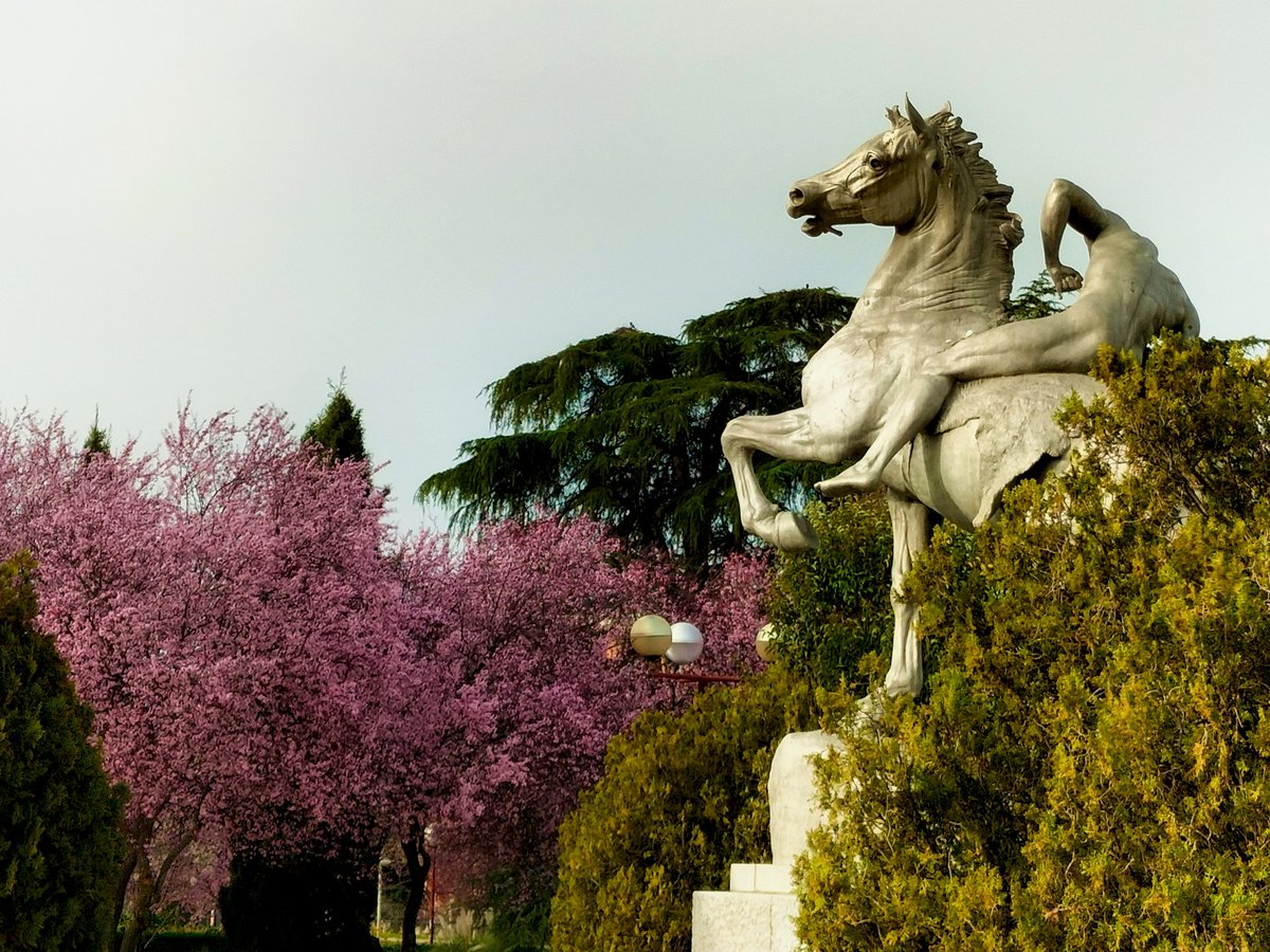 José A. Morales-García 👨‍🔬 🇪🇸🍉 tweet media