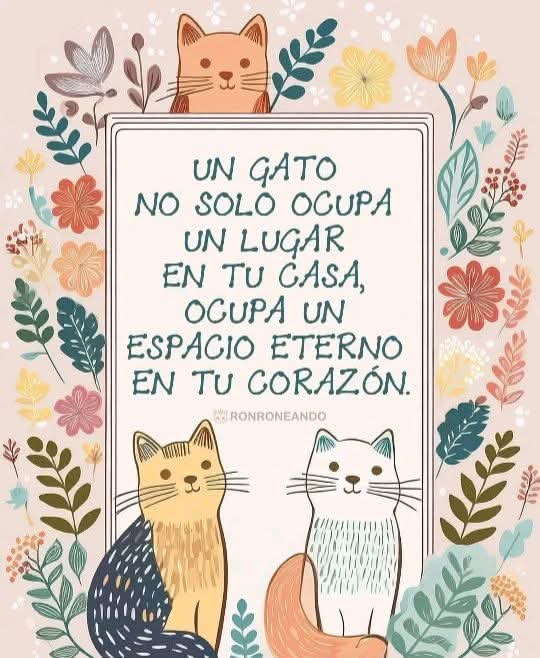 nfriasm's tweet photo. Ayuda y protege a los animales.
No los maltrates. Tampoco a la  naturaleza.

Los Buenos Modales de Norah https://t.co/96Ks7Y5S9a