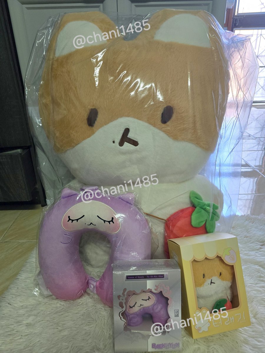 ขายน้องทอ ยกเซต ไม่แยก 4 ชิ้น
- ทอแลกี 80 cm.
- หมอนรองคอกูรือจัม นอนตู้
- ตุ๊กตากูรือจัมไม่แกะ
- ทอแลกี 20 cm. 
+ของแถมอื่นๆ
*ราคาเหมา 4 อย่าง  13,900 รวมส่ง
(ถูกกว่าแยกชิ้นหลายพันค่ะ)
รับน้องไปดูแลต่อหน่อยนะคะ 🥹

#ตลาดนัดEXO #ตลาดนัดbaekhyun #ตลาดนัดแบคฮยอน