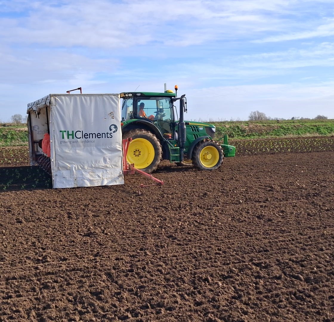 TH Clements tweet media