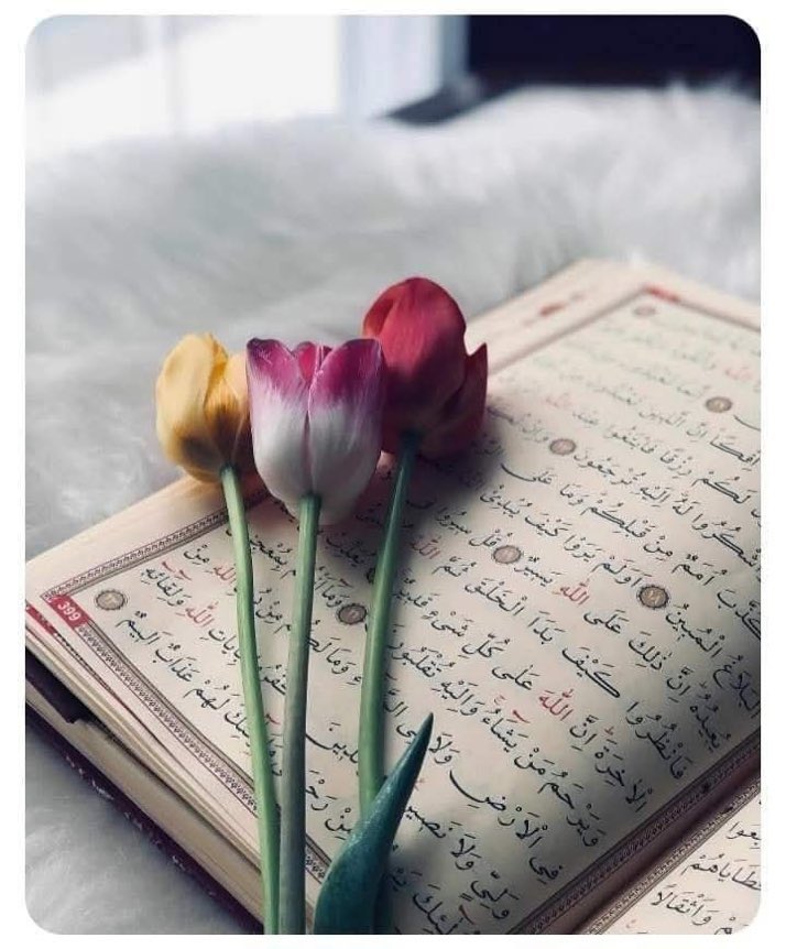 "Külli halin yezûlü"

Her hal geçicidir. 🍂