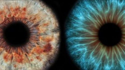 Eye Journal tweet media