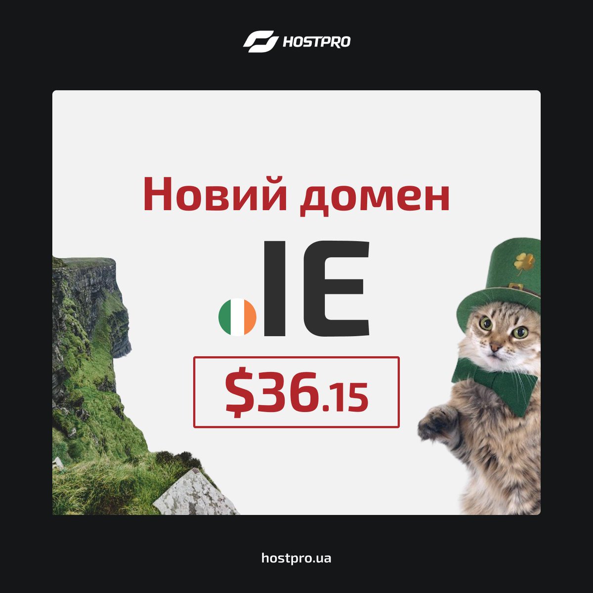 HostPro.ua tweet media