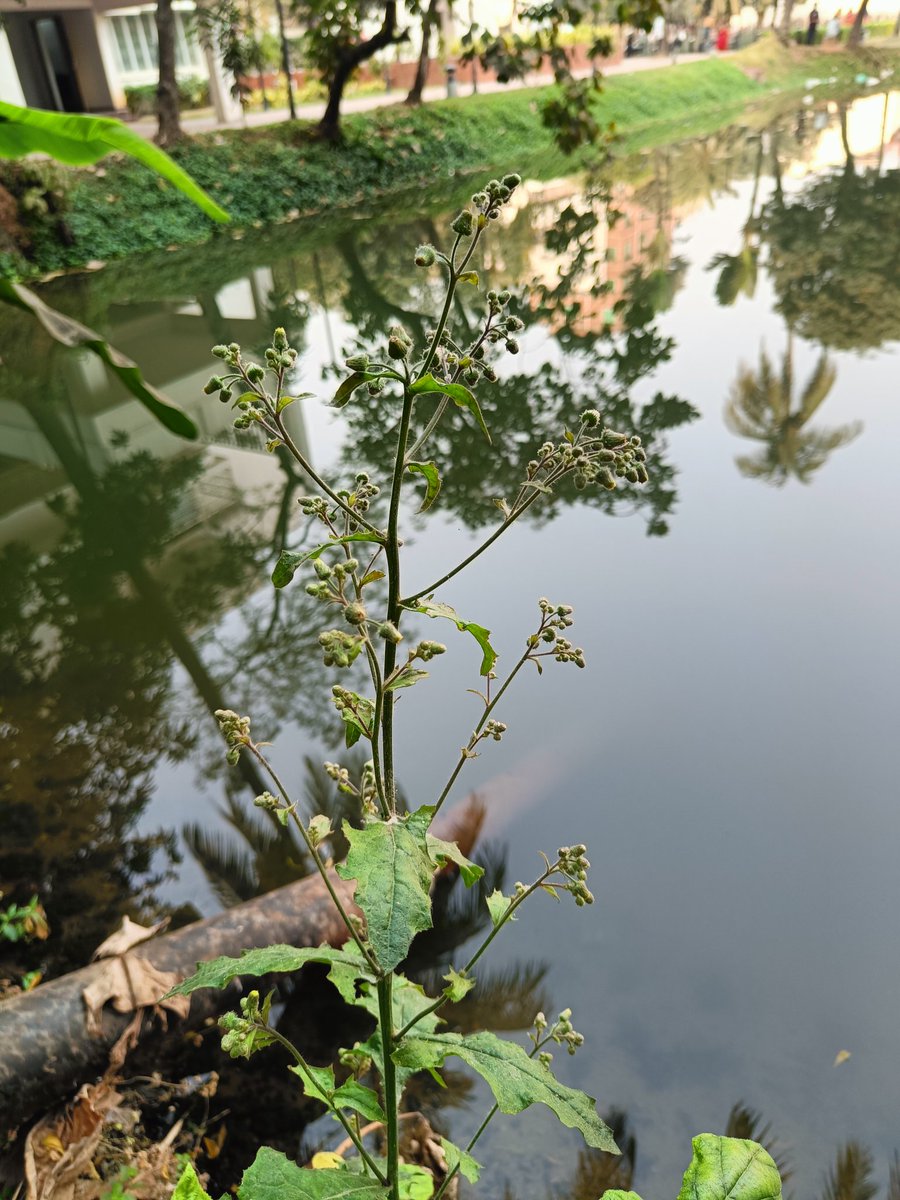 Today's affirmation...

I am disciplined, motivated, and consistent...

And you?