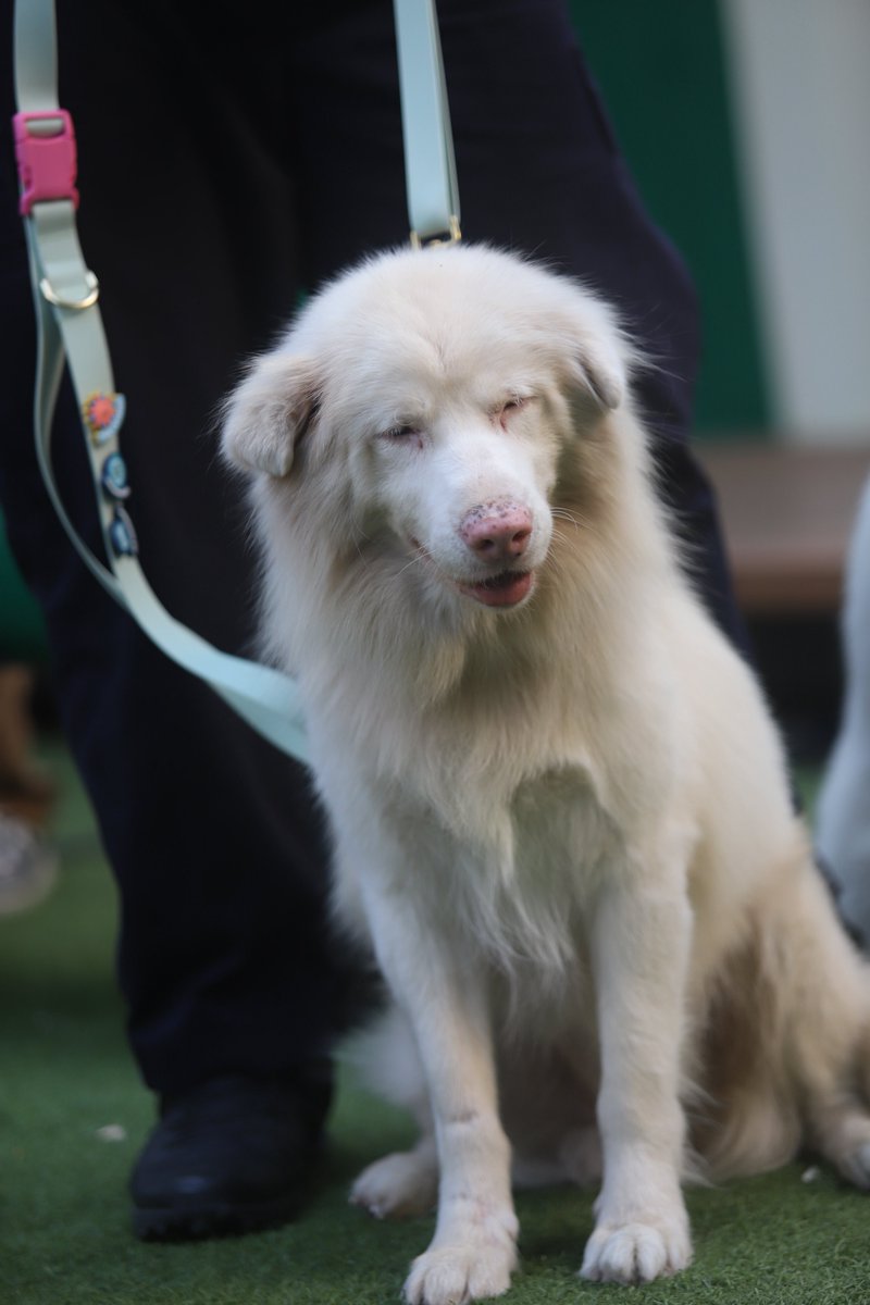 น้องนำโชค และน้องหิมะะะะ

#โกฮังหัวใจโกโฮม #GOHANTheMovie