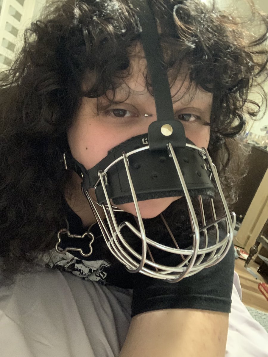 pupbr4t's tweet photo. lil excited ab my muzzle :p https://t.co/Ugj5AeyxEi
