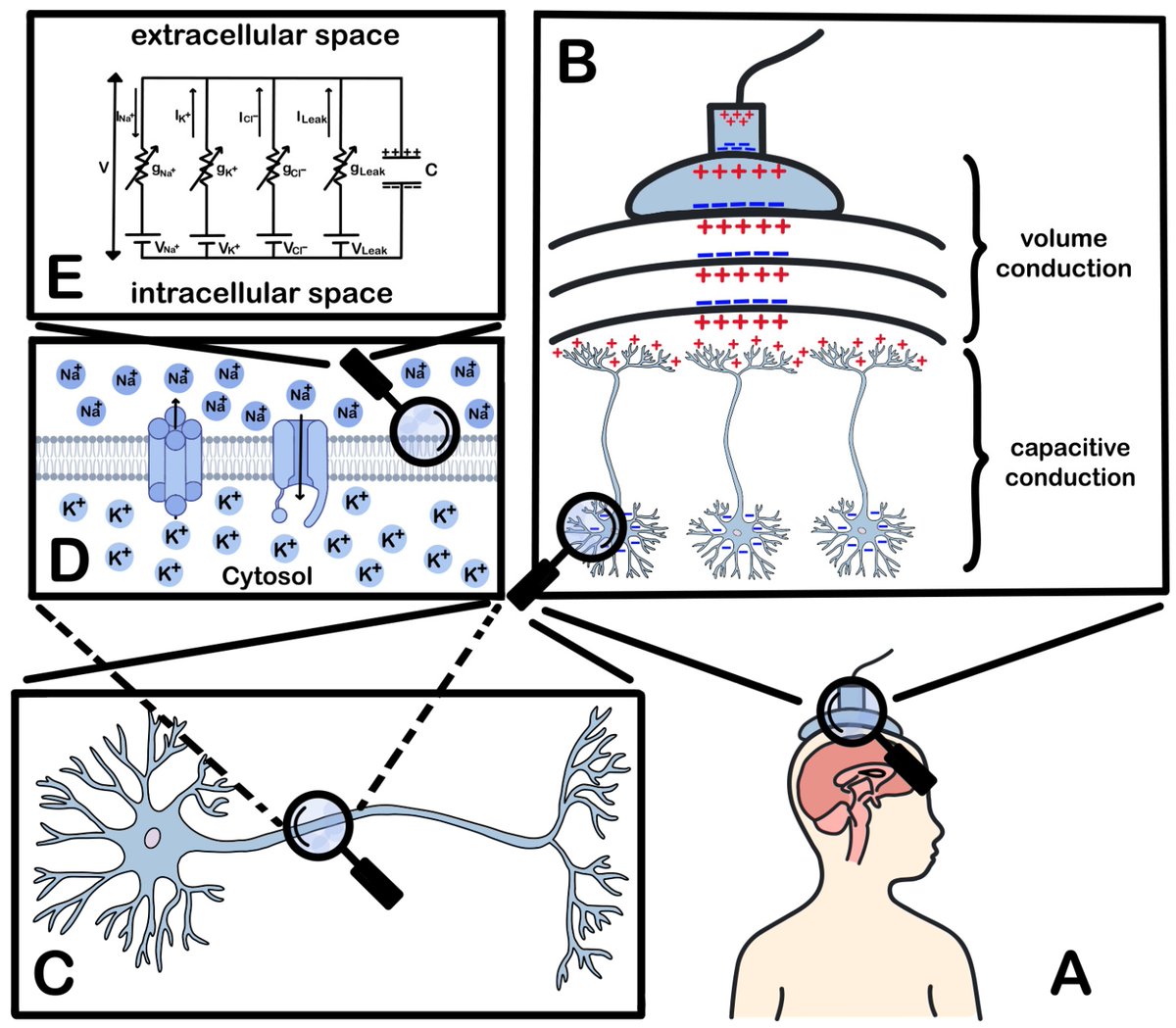 Signals MDPI tweet media