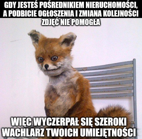 Kataster tweet media