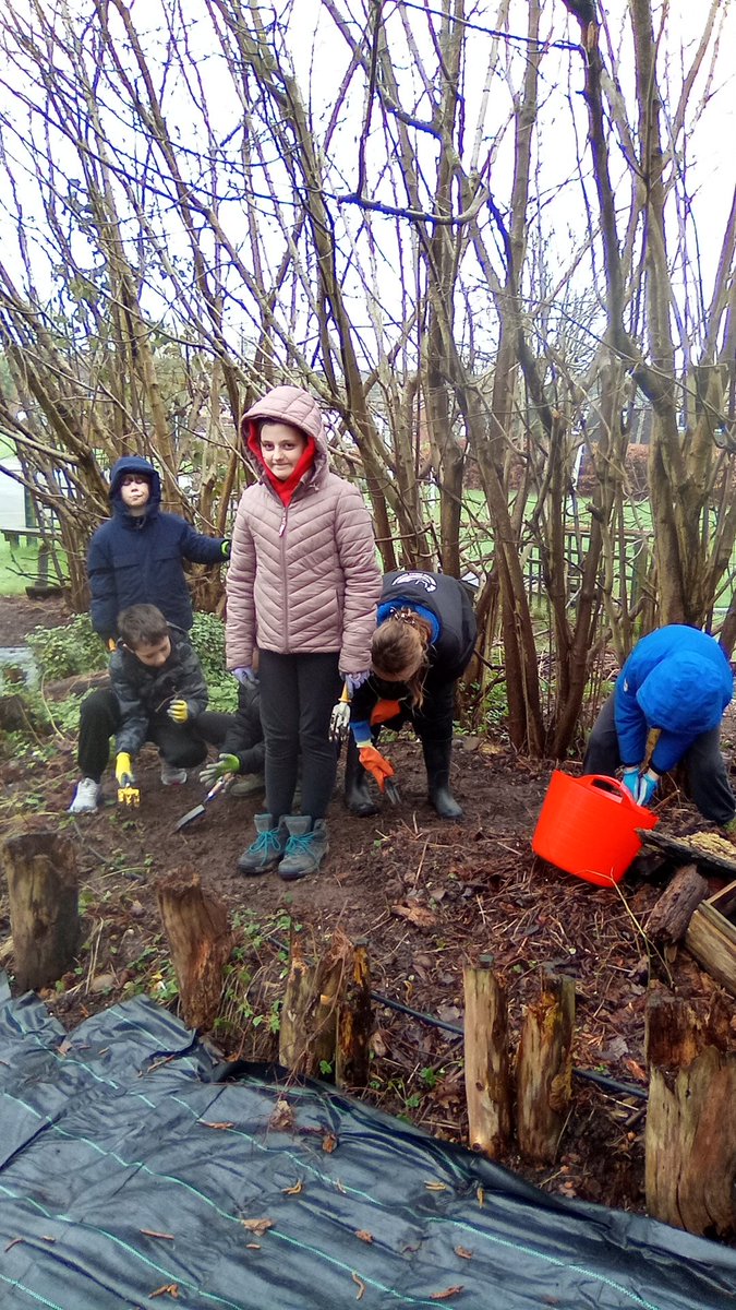 Primitas Learning Partnership tweet media