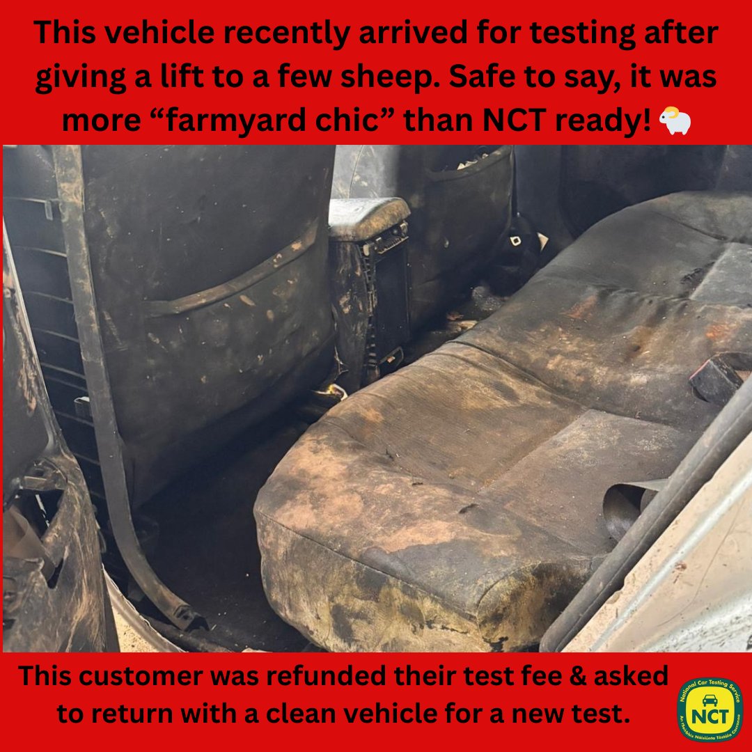 🚗🐑 A vehicle just arrived for testing with a sheepish surprise! Make sure your car is clean before testing to avoid cross-contamination. This customer was refunded and asked to return with a clean vehicle. #NCT #VehicleCleanliness