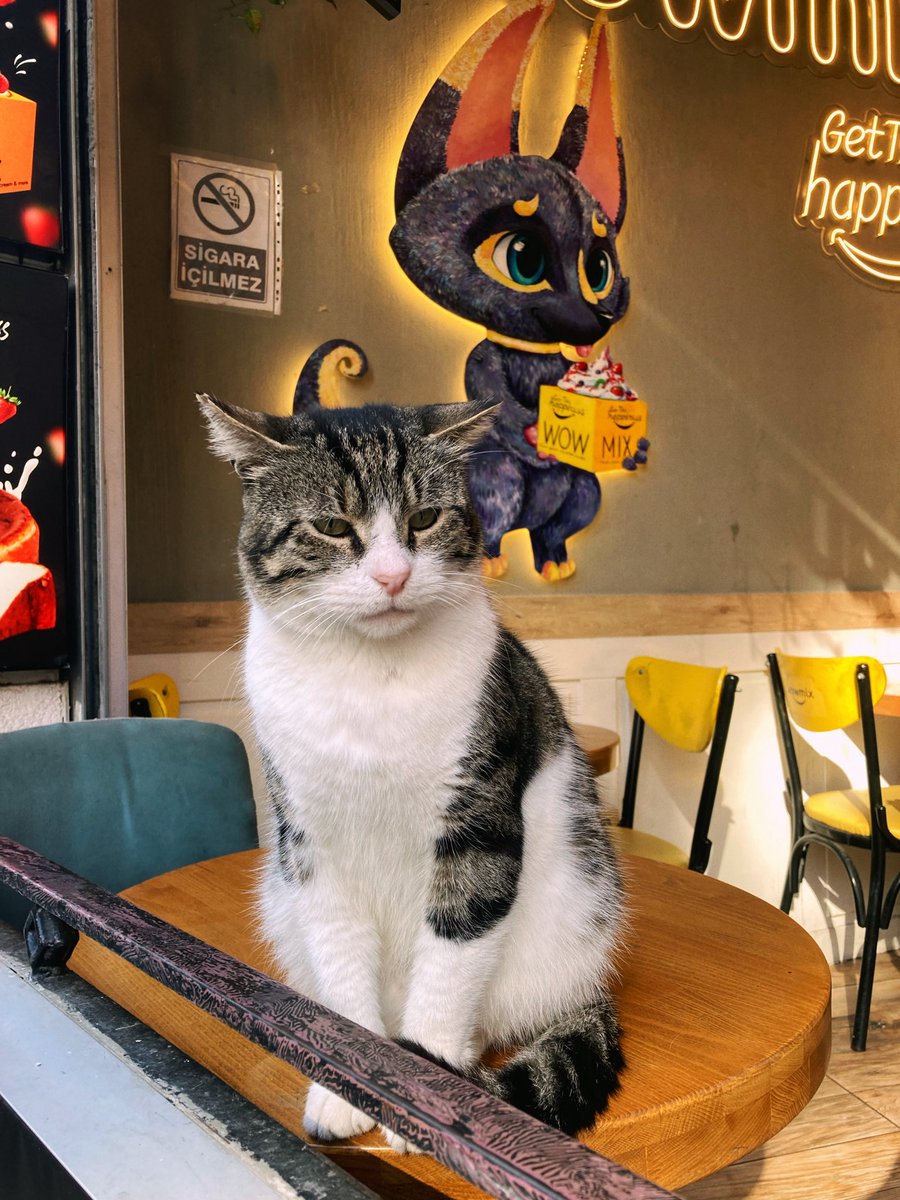 Bugün gördüğüm bebekler