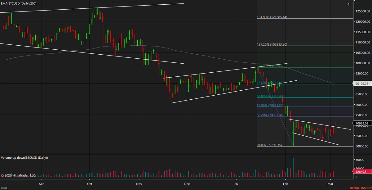 Ofer Zeev Netanel tweet media