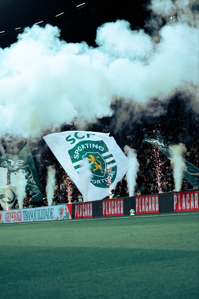 Hidemasa Morita/守田英正 tweet media