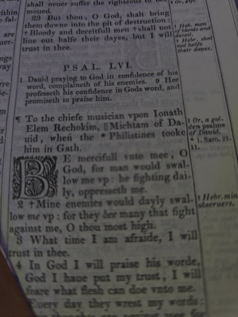 Thore Gundi tweet media