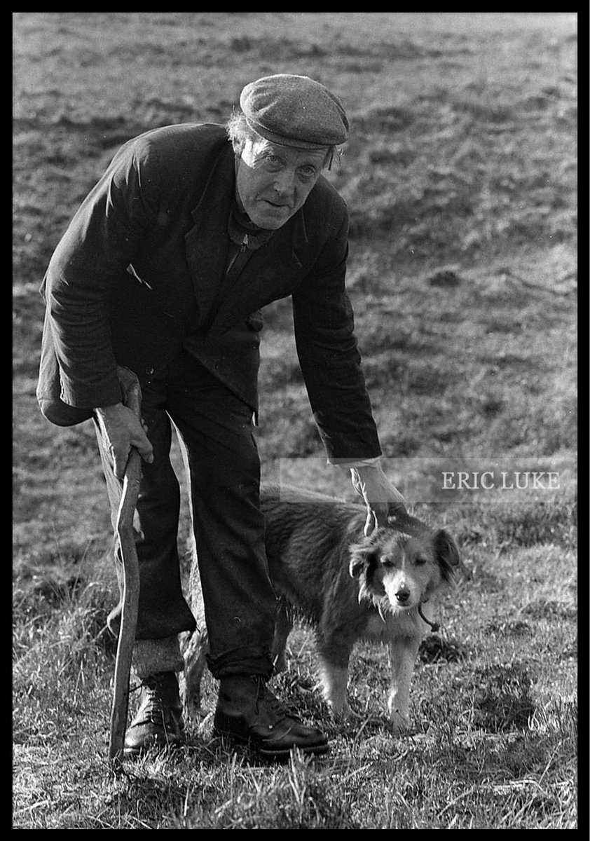 Eric Luke tweet media