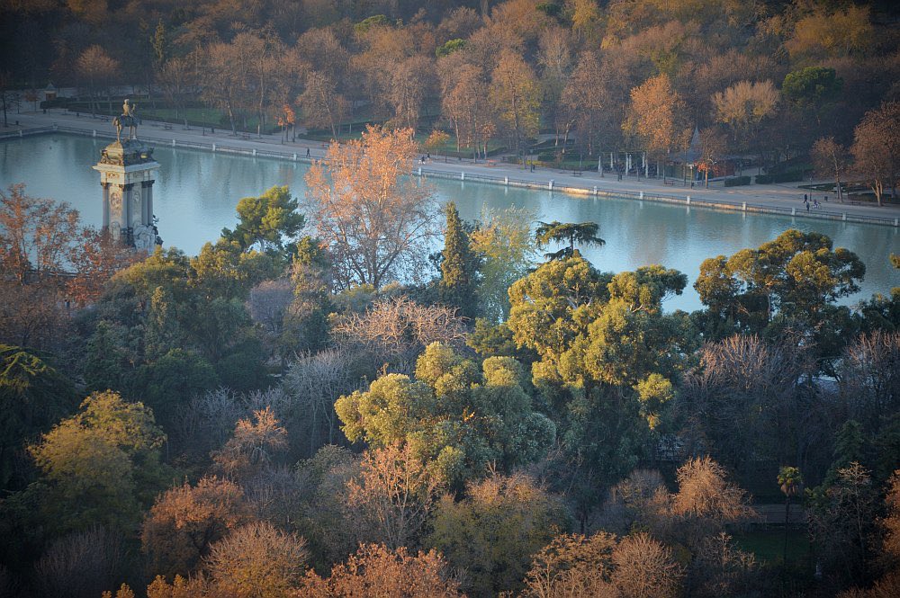 El Parque del Retiro tweet media