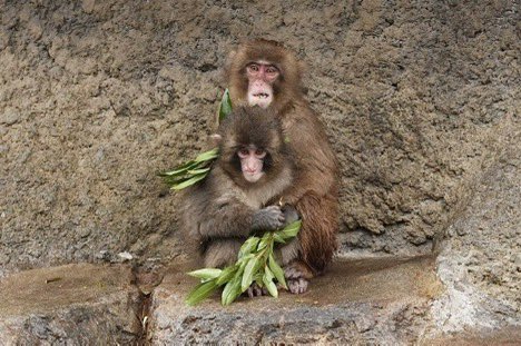 ʏᴢ (@YZfinance) / Posts / X