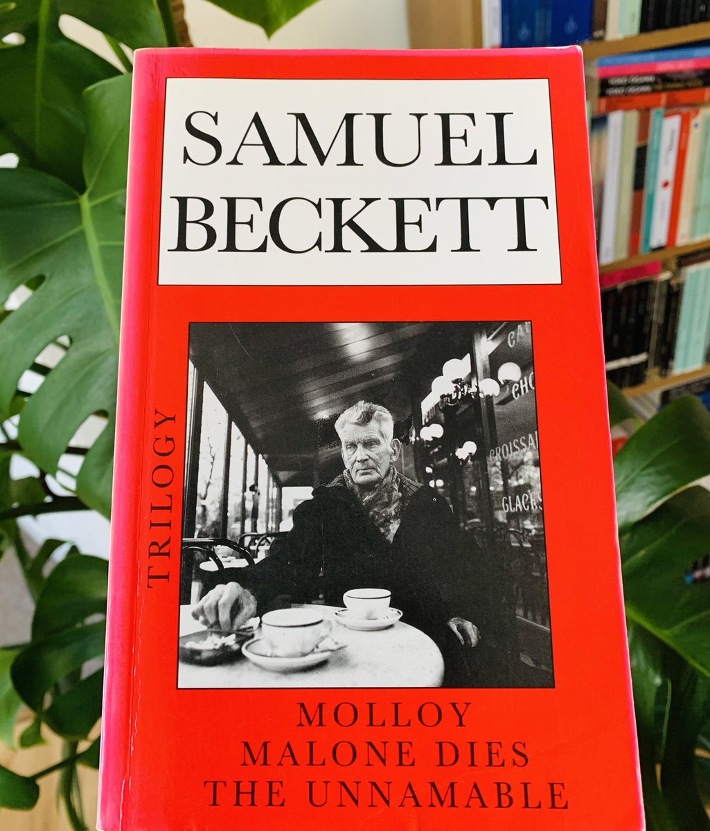 Dr David Vernon tweet media