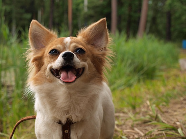 Michael Foley tweet media