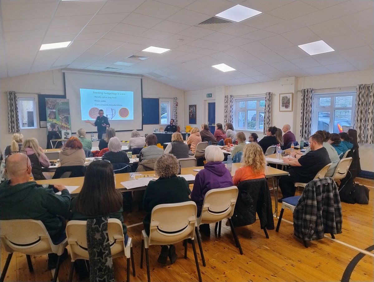 wildliferescuer's tweet photo. We are desperatly trying to fill a few more spaces on our Basic First Aid, Care and Rehabilitation of Hedgehogs Course in Frome BA11 1EB on Saturday 14th March, to ensure this course can go ahead.

We would love to deliver this course in memory of Graham, who very sadly passed away shortly after organising the course.

If we are unable to get a few more people booked on, we will unfortunately have to cancel the course.

If you are interested in European Hedgehog rehabilitation, please email courses@valewildlife.org.uk for more information 🦔🤎🤞