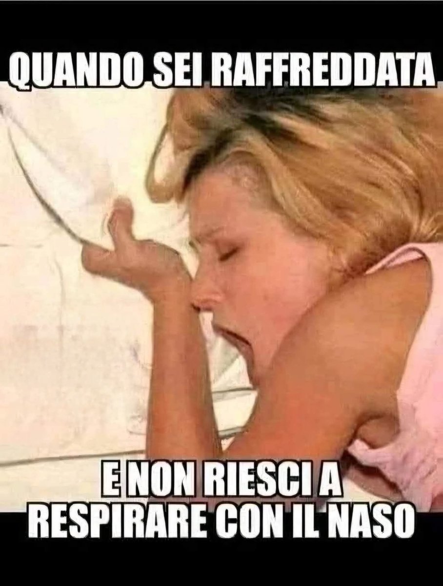 Fnapolisempre83, Campione in Italia 2022/23 🇮🇹 (@fnapolisempre83) on Twitter photo 