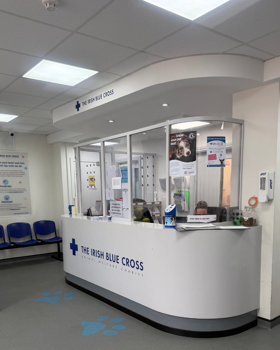 The Irish Blue Cross tweet media