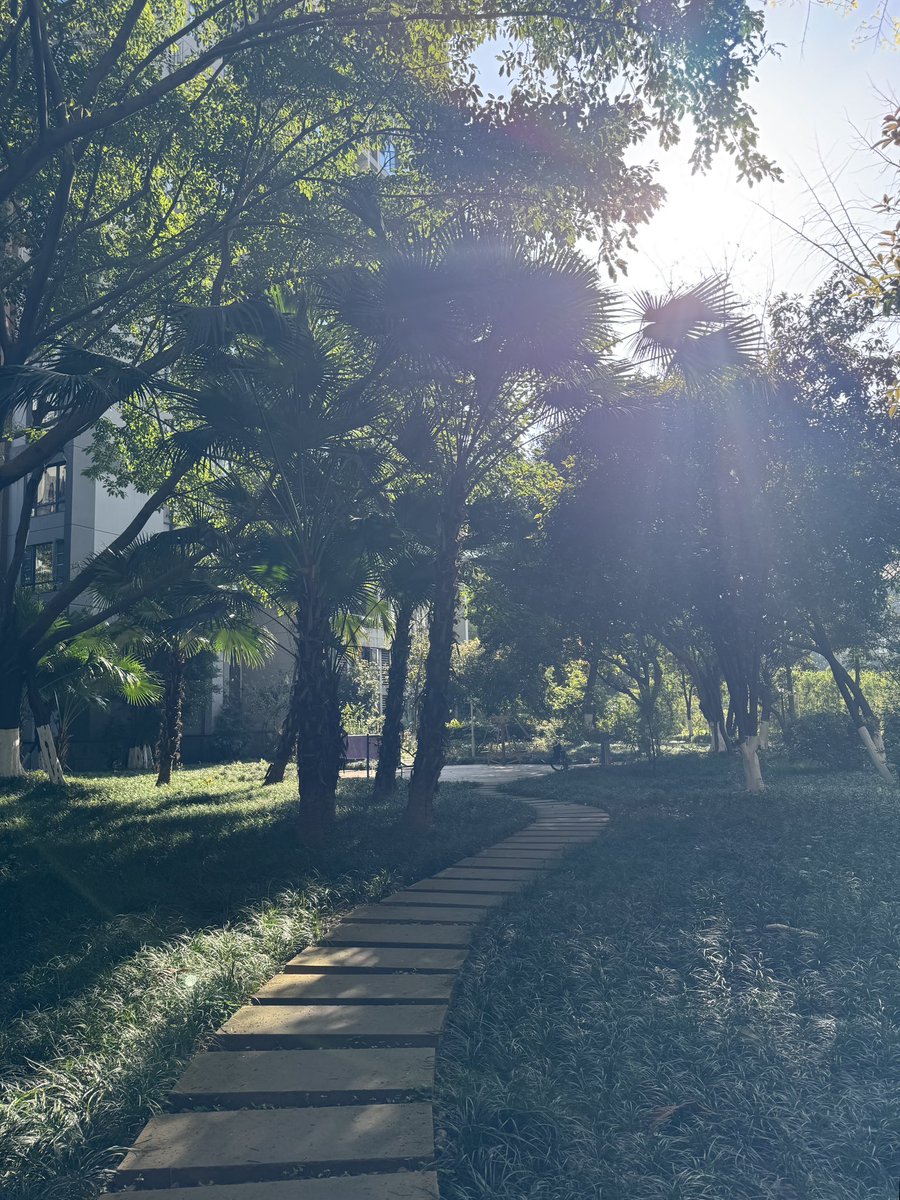 lelastar0930's tweet photo. Good weather ☀️ https://t.co/DQMC6JRrvs