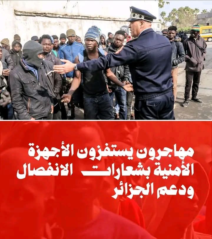 M99TV tweet media
