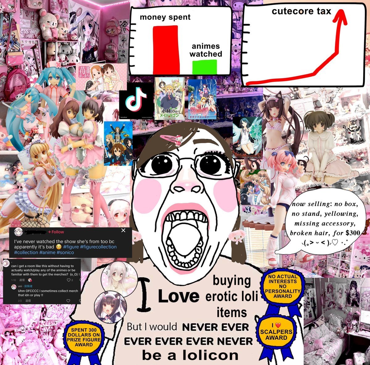 Uno siempre se pregunta de qué viven todas estas chicas "Cutecore" que pueden costearse habitaciones en monto total de 30.000 a 50.000$ y costearse habitaciones de lujo y Cosplays. Mi teoría es que probablemente se prostituyen de alguna forma, o puede ser que sean todas de