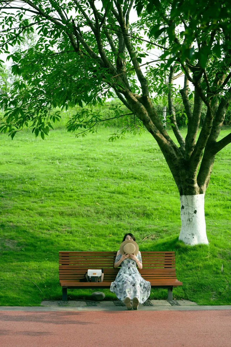 TheMarketSniper - MBA, CMT. Market Precision tweet media