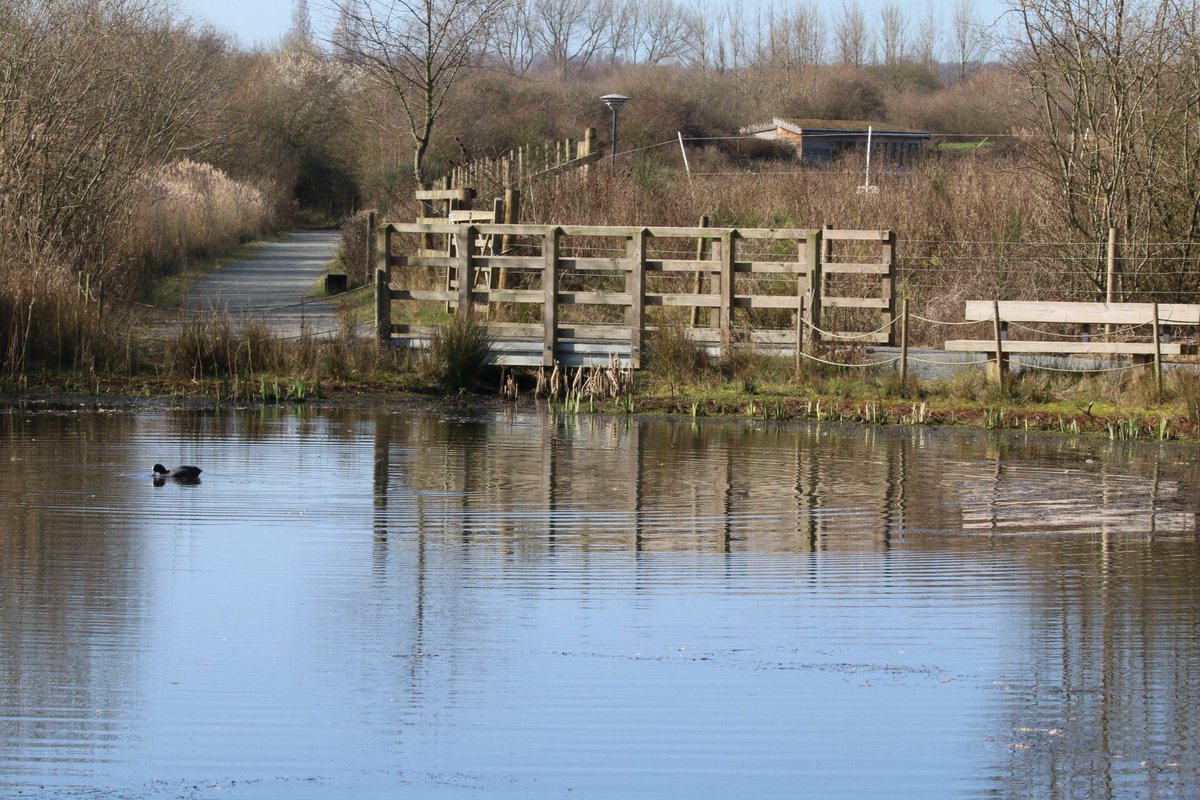 MAW Holmes tweet media