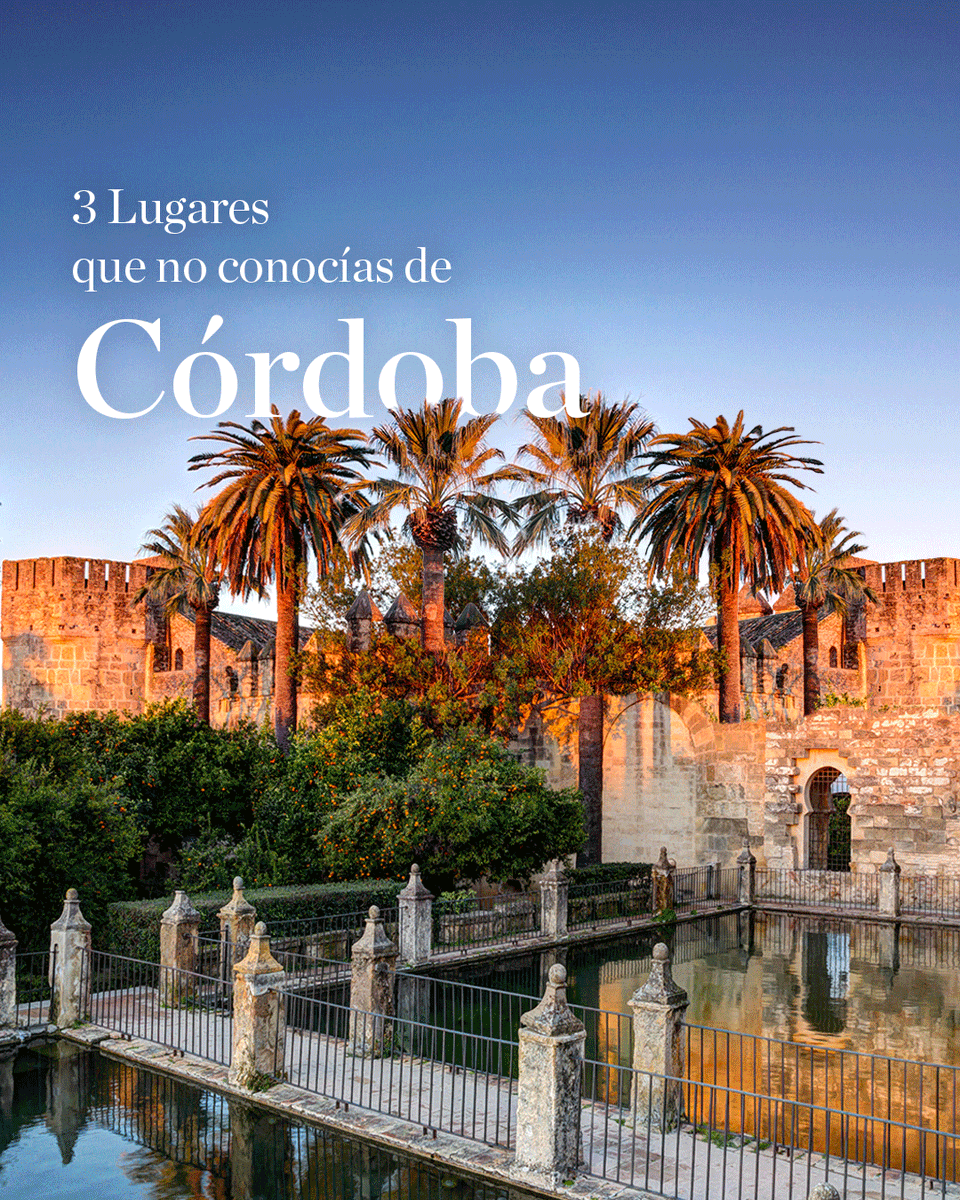 NH Collection España tweet media