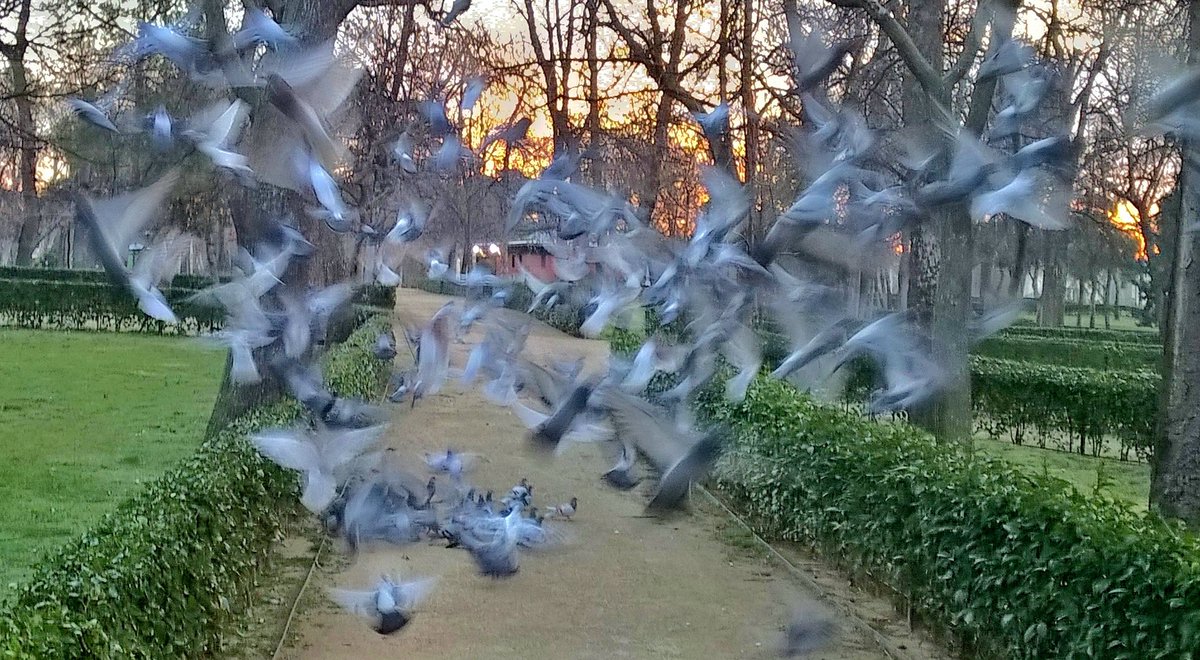 Santiago Tejedor tweet media