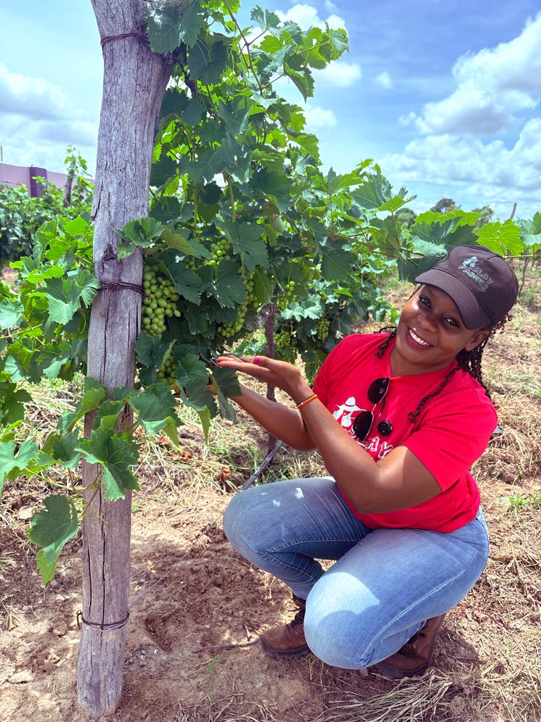 Slay Farmer😍 tweet media