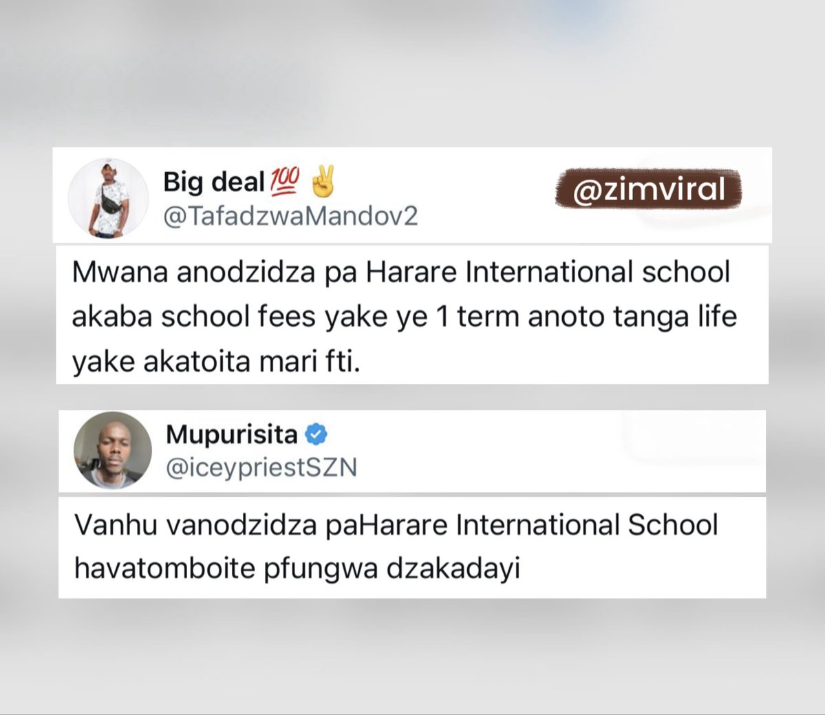 Zimviral 𝕏 tweet media